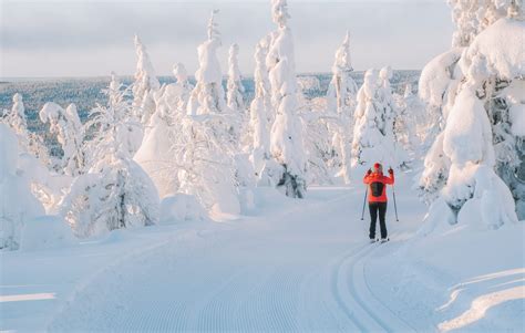 12 Best Things To Do In Lapland Finland Lapland Finland Finland
