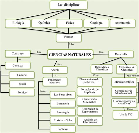 Mapas Conceptuales De Las Ciencias Naturales 【descargar】