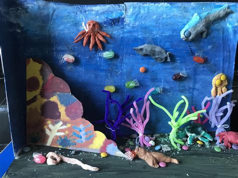Marine Ecosystem Model With Candy 30 Steps Instructables
