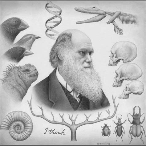 Teoria De La Evolucion De Darwin Mapa Conceptual Images And Photos My My Xxx Hot Girl