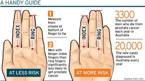 finger length and the casanova pattern boston testosterone partners