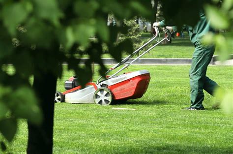 Lawn Care Names 755 Lawn Mowing Business Name Ideas