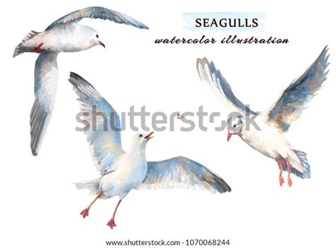 Watercolor Set Beautiful Seagulls Different Positions Stock
