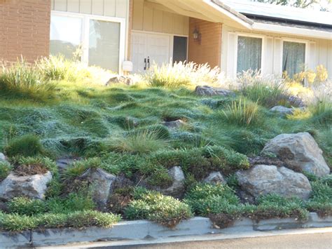 Bay area landscape nursery has the largest selection of landscape materials in the coastal bend. Landscaping Ideas San Francisco Bay Area - Native Plants ...