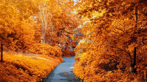 Download Wallpaper 2048x1152 Autumn Path Park Foliage