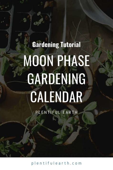 Moon Phase Gardening A Calendar