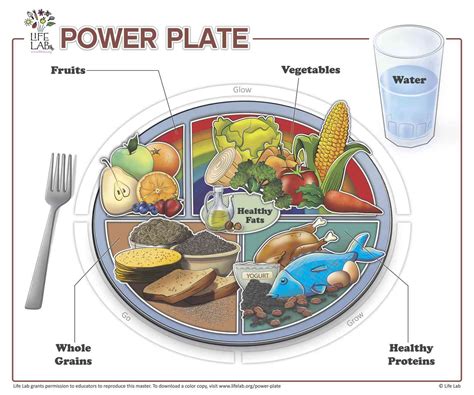 Kids are introduced to the five major food groups and the food they comprise with a. Life Lab » Power Plate