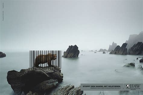 30 Shocking Animal Ad Campaigns That Will Make You Rethink Your Lifestyle