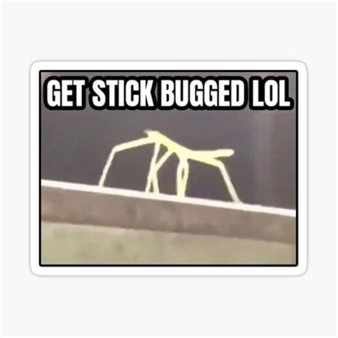 Get Stick Bugged Lol Meme Sticker For Sale By Slendykins Redbubble
