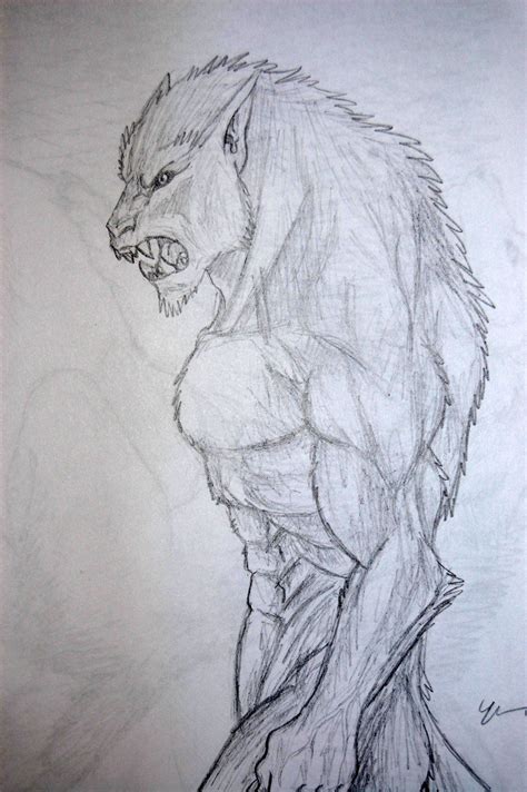 Dark Art Illustrations Dark Art Drawings Illustration Art Werewolf