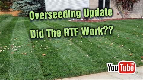 What Is Rhizomatous Tall Fescue Rtf Fall Overseed Update Youtube