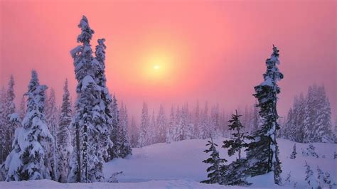 Winter Sunset Image Abyss