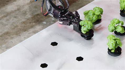 The Hydroponic Robotic Future Of Farming In Greenhouses Greenhouse