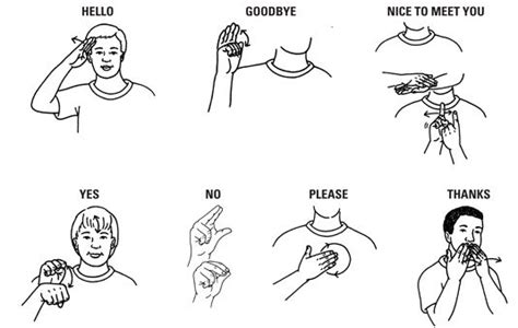 After learning sign language alphabet, you have to move to sign language signs for words(basic words). Learn Sign Language On Line | Sign language words, Sign ...
