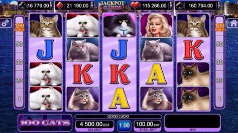 100 Cats Slot Free Play And Review ️ January 2024