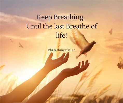 Breathe Quotes To Live Every Moment Of Life Just Breathing