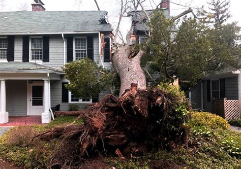Only people with flood insurance are covered against the kind of storm surges that cascaded through new york and new jersey. What Does Insurance Cover if a Tree Falls? - Risk Averse Insurance
