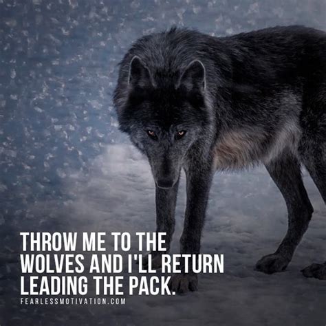 24 Best Images About Wolf Quotes Motivational Wolf Quote Images