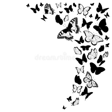 Black And White Butterflies Design Isolated On White Vector Stock