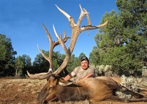 Archery Elk Hunting Arizona Outdoors International