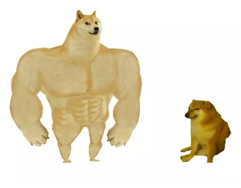 Doges Blank Template Imgflip