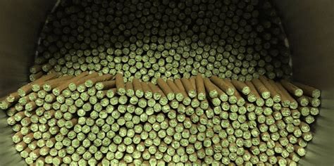 Best Blunt Wraps - Everything You Need To Know and Top 5 with Reviews