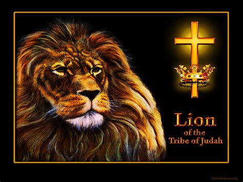 74 Lion Of Judah Wallpapers On Wallpapersafari