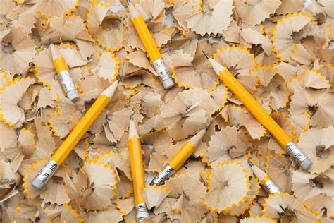 Can You Compost Pencil Shavings Recycling Pencil Shavings For The Garden