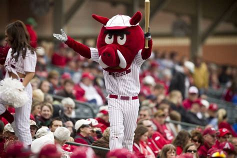 The arkansas razorback baseball program utilizes one of the nicest indoor facilities in the country during the cold and wet winter months in fayetteville, arkansas. Ribby the Razorbacks mascot leads the crowd in cheering ...