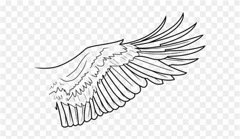 Simple Eagle Drawing At Explore Collection Of