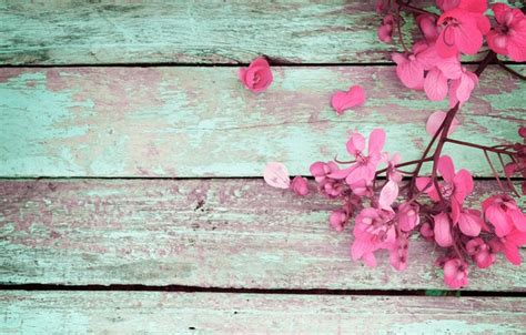 Wallpaper Flowers Spring Pink Vintage Wood Pink