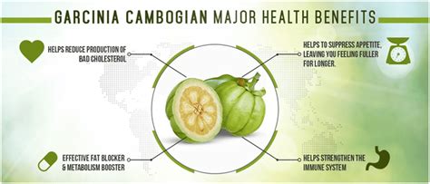 things you need to know before buying garcinia cambogia