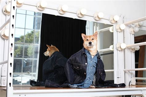 Bodhi The Shiba Inu Menswear Dog Mirror Online