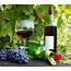 Tour 3 Upcoming Maryland Wine Festivals This Summer  An Extraordinar