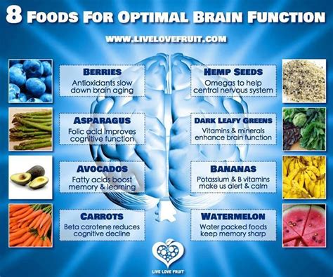 brain food brain function healthy brain brain food