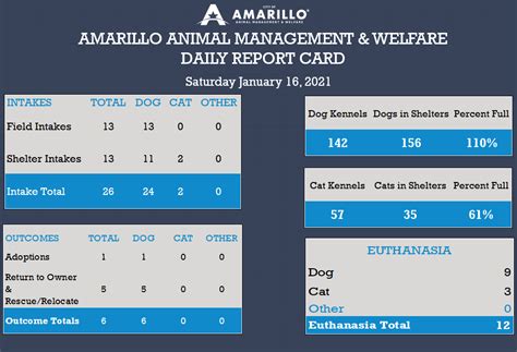It was first identified in december 2019 in wuhan,. Daily Report Card | Amarillo Animal Management & Welfare