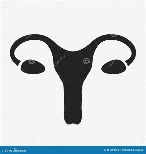 Sistema Reproductivo Femenino Stock de ilustración Ilustración de