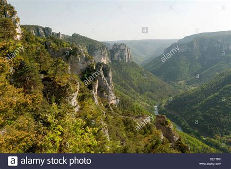 Pastoral Forests Hi Res Stock Photography And Images Alamy