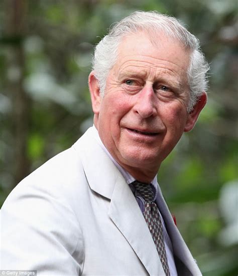 Charles also champions global sustainability. The Crown's young Prince Charles attends London premiere ...