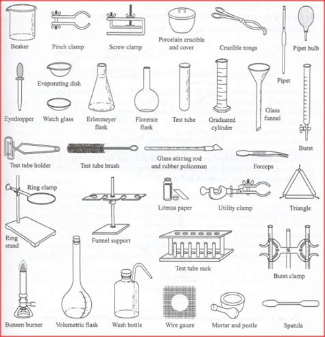 Lab Equipment Hhs Science Skills Handbook