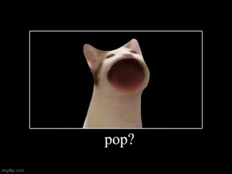 I Like Pop Cat So Im Going To Revive The Meme Imgflip