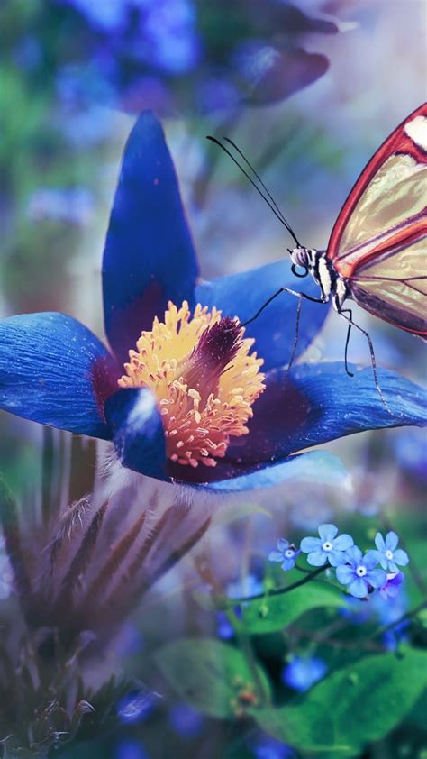 Download Wallpaper 1080x1920 Blue Flower Butterfly Meadow Macro