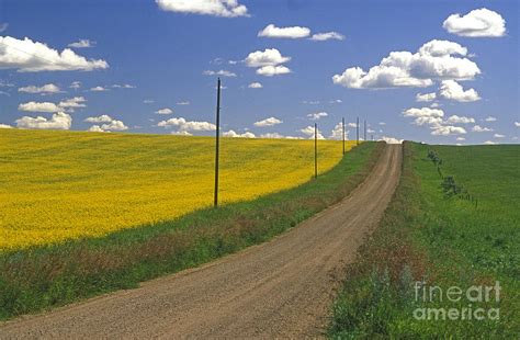 Prairie Dirt Road Photograph By Ken Meisner Fine Art America