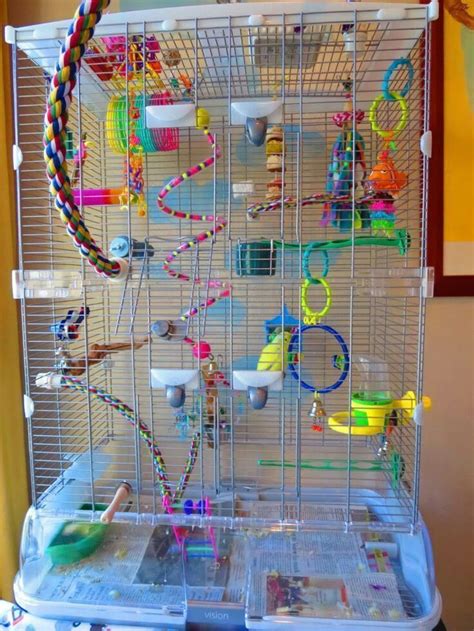 A Large Bird Cage Filled With Lots Of Toys And Items On Top Of A Table