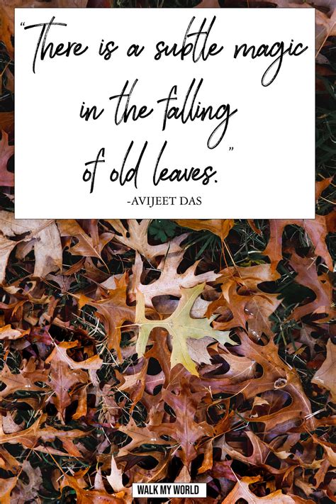 40 Inspirational Leaf Quotes For Nature Lovers — Walk My World
