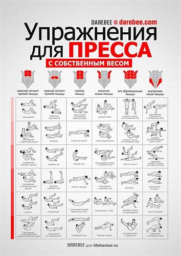 Диета для избавления жира