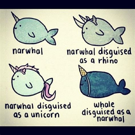 Narwhal Disguises I Love Narwhals Narwhal Humor Cute