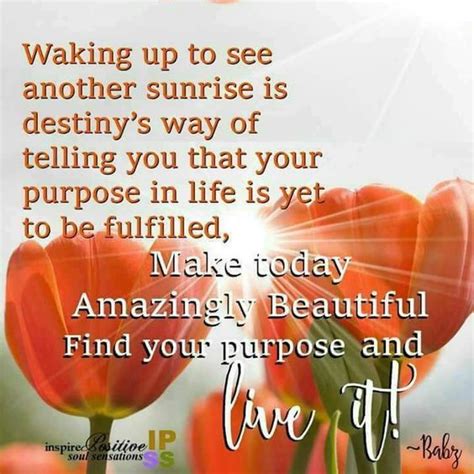 Make Today Amazingly Beautiful, Find Your Purpose And Live It Pictures ...