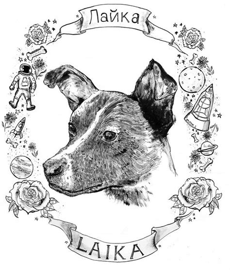 Pin By Alex Broda On Laika A Tribute Space Dog Soviet