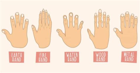 The Shape Of Your Hands Reveal A Lot About Your Personality Hand Type